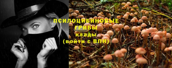 кокс Алексин