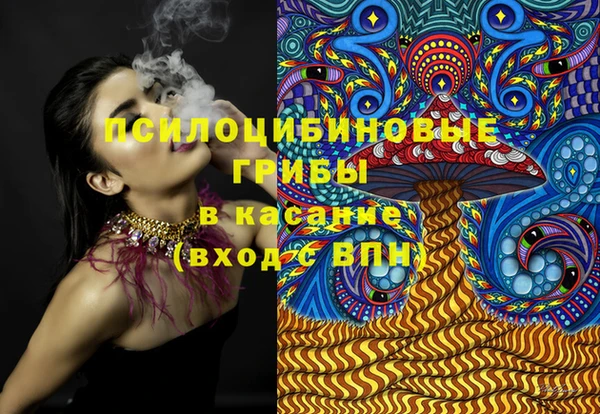 кокс Алексин