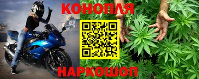 Альфа ПВП Берёзовский