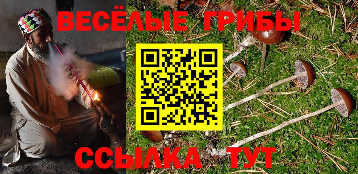 Еманжелинск  Галлюциногенные грибы Psilocybine cubensis  Вход с VPN 