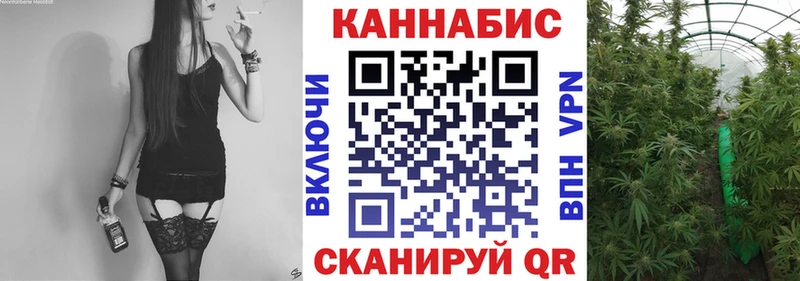наркотики  Еманжелинск  Бошки марихуана конопля 